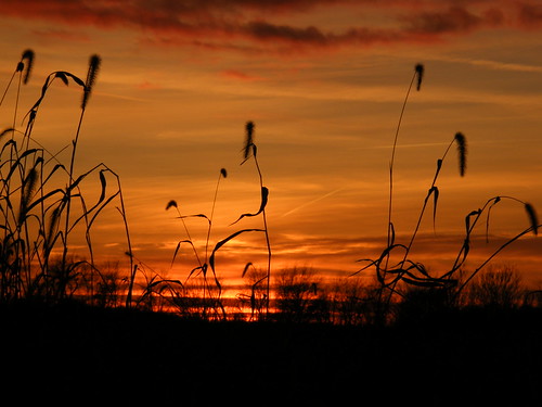 sunset silhouette rural indiana friendlychallenges beginnerdigitalphotographychallengeswinner achallengeforyou acfy