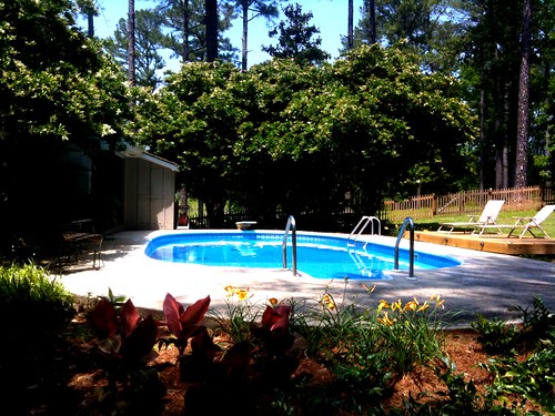 home pool yard mississippi landscape outside outdoors backyard landscaping ms iphone