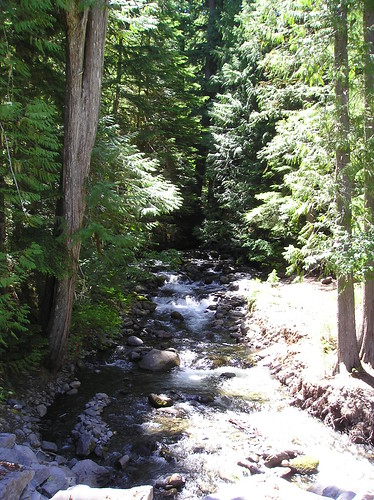 creek trail rhododendron rhododendroncreektrail