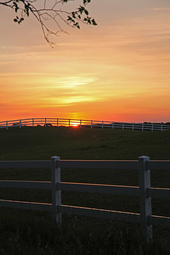 sunset horse michigan farm pasture horsefarm whitelaketwp
