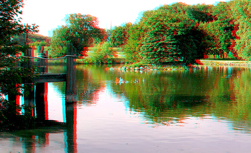 lake reflection bird geese stereoscopic stereophoto 3d spring wildlife anaglyph anaglyphs redcyan 3dimages 3dphoto 3dphotos 3dpictures stereopicture