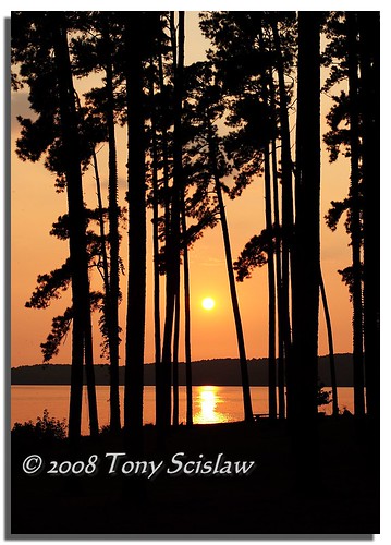 park trees sunset lake silhouette state alabama guntersville