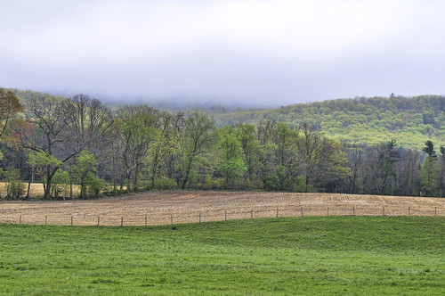 landscape pennsylvania sprucecreek evergreenfarm