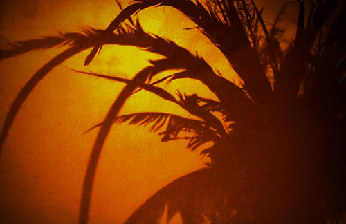 shadow ombre lapiscine roubaix nuitdesmusées anawesomeshot colorphotoaward colourartaward