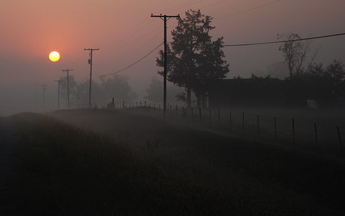 fog rural sunrise landscape