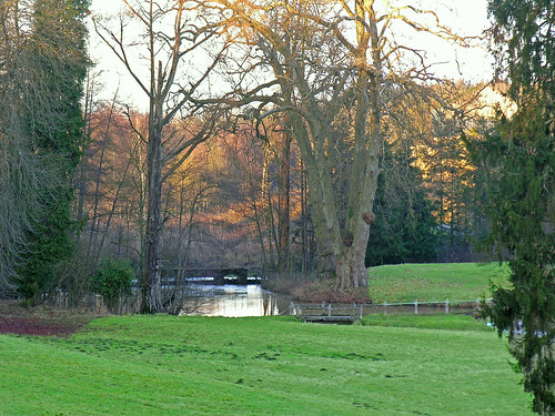 travel winter lake france tree nature water river de landscape pond frankreich rivière loire pays baum étang sarthe platane