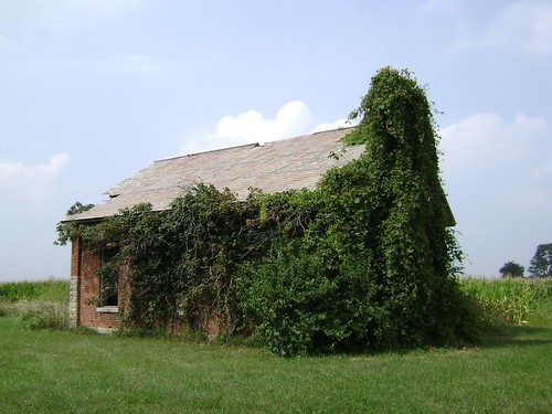 county school ohio house brick abandoned rural one decay room forgotten van schoolhouse dix richey wert