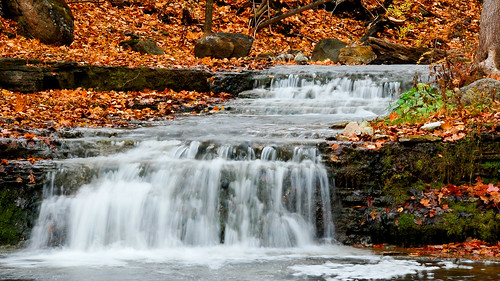 fall water leaves creek silver river rocks stream conservation falls topshots creditvalley