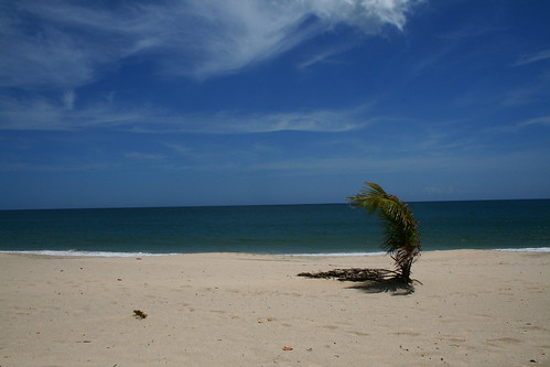 blue sea sky holiday hot tree beach clouds sand venezuela sunny palm nueva esparta golddragon platinumphoto