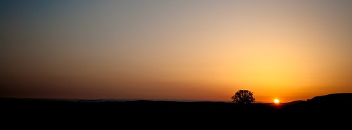 california landscape dawn