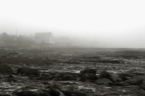 blackandwhite abandoned beach fog rocks novascotia scenic bayoffundy d80 theperfectphotographer