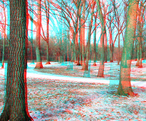 park old trees winter wild plant stereoscopic stereophoto 3d branches rustic scenic anaglyph iowa trail trunk siouxcity redcyan 3dimages 3dphoto 3dphotos 3dpictures siouxcityia stereopicture