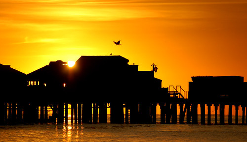 sunriise santabarbara california silhouette pier stearnswharf sunrise clear day free
