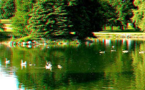 lake reflection tree bird geese stereoscopic stereophoto 3d spring wildlife anaglyph anaglyphs redcyan 3dimages 3dphoto 3dphotos 3dpictures stereopicture