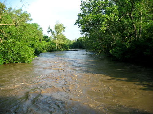 creek tippecanoe elililly