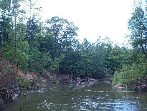 river canoe manistee hoxeyville pineriver