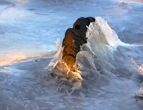 morning winter sunlight ice frozen rocks connecticut ct stamford coveislandpark