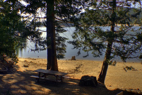 trip lake tree bench picnic view card hdr shaverlake 6xp