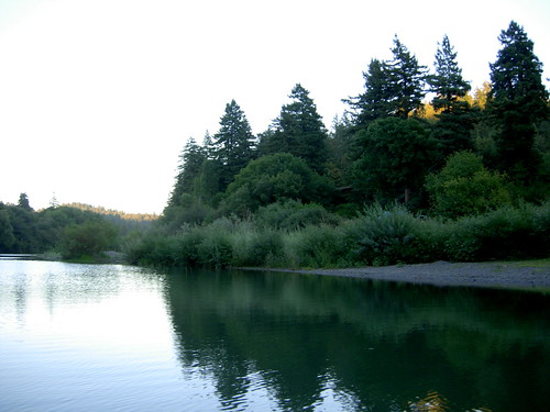 california county trees sunset water river sonoma august riverbank russian 2008 guerneville