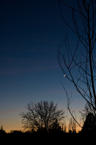 sunset sky moon tree venus astronomy jupiter