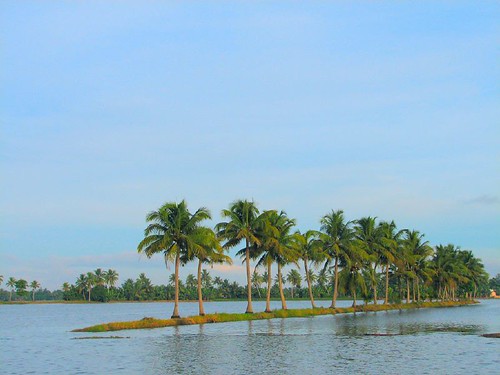 india water canon coconut kerala lagoon coconuttree s2is laguna backwaters backwater alleppey alappuzha sangeeth landscapesdreams
