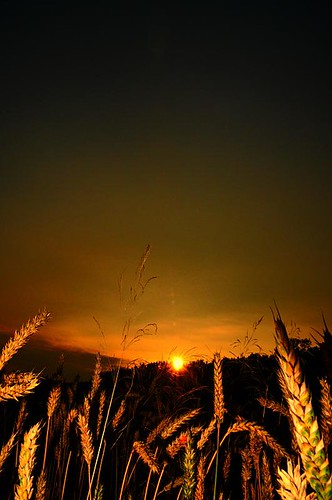 sunset orange zonsondergang nikon sonnenuntergang flash sittard d300 18200mm windraak trampelman cmwd cmwdorange