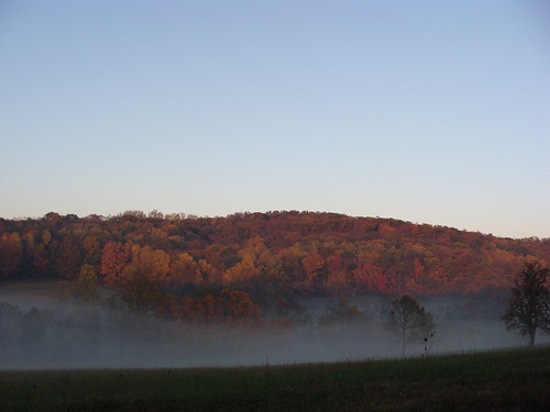 county morning autumn mist fall fog indiana corydon
