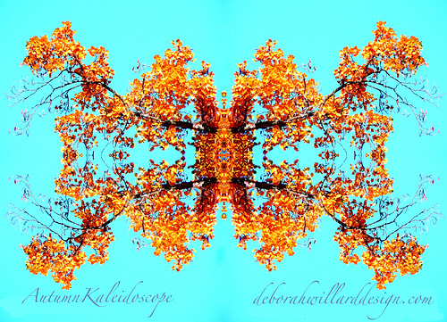 autumn friends orange abstract reflection art leaves yellow pattern turquoise symmetry symmetrical 1001nights soe blueribbonwinner digitalphotographicart eliteimages colourartaward goldstaraward arttate deborahwillard deborahwillarddesign dragonflyawards