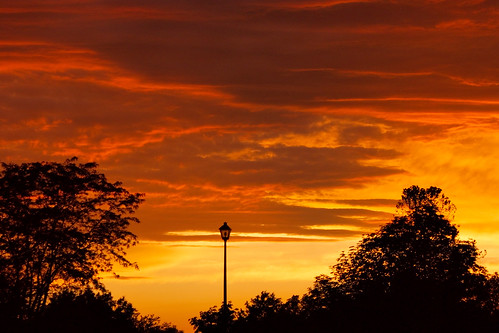 trees sunset red sky color bright streetlamp