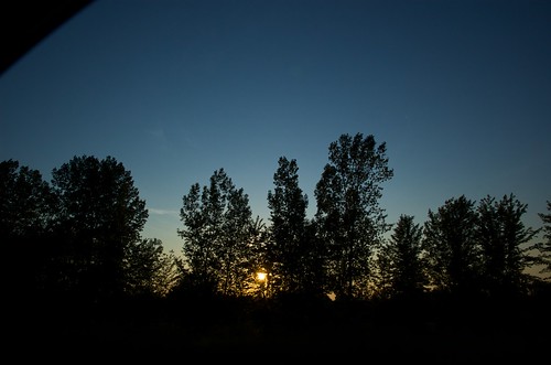 sunset canada tree silhouette time vegetation fromacar d40 québec imagetype nikond40 photospecs houdahgeo afsdxnikkor1685mmf3556gedvr afsdxvrzoomnikkor1685mmf3556ged