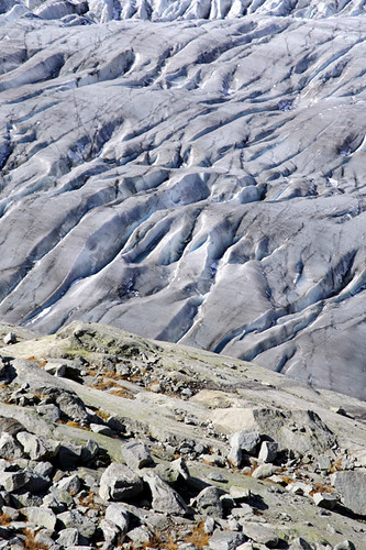 schweiz switzerland glacier wallis valais aletschgletscher gletscherweg