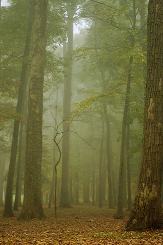 autumn fog pennsylvania berkscounty boyertown