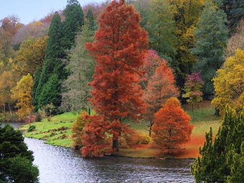 autumn trees water gardens landscapes colours view nt lakes national stourhead views trust soe goldendragon inspiredbylove pjw golddragon colorphotoaward absolutelystunningscapes inspirebylove naturescreations autumn2008images