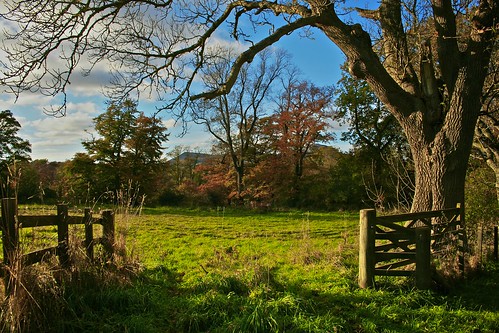 uk blue autumn trees light sky colour green clouds canon landscape scotland gate shadows hills fields scottishborders 400d abigfave aplusphoto mygearandmepremium
