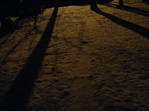 winter snow abstract west nature sparkles night outdoors virginia fuji surreal wv nighttime technorati fairmont s700 fairmontwv s5700 shuttersparks
