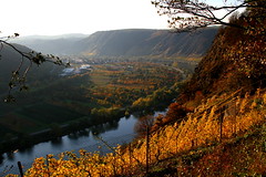 The Mosel valley ...