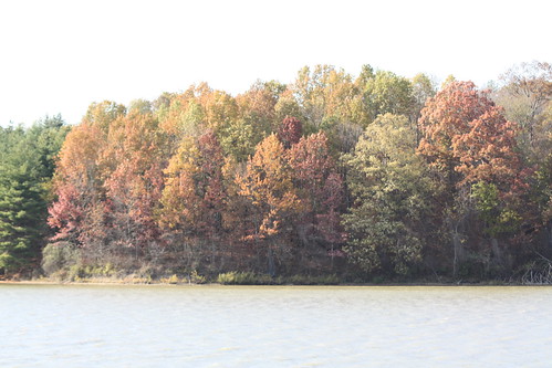 blue autumn trees ohio red sky white green fall water clouds gold senecalake xsi sigma70300mmf456dgapomacrotelephotozoomlens