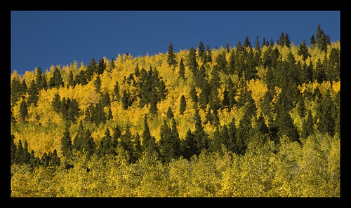blue autumn green fall yellow gold colorado aspen kenoshapass nikkor18200mmf3556gifed
