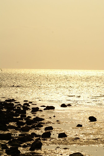 beach island photography florida diego palm fotos fotografia garzon blestdevil sunsetdiego
