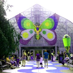 Butterflyflowerhouse