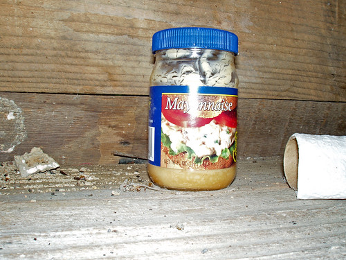 old mayo poison expired