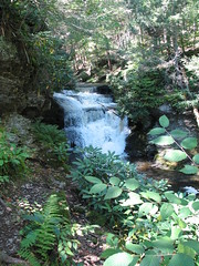 Dingman's Falls