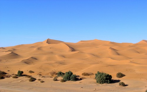 hot desert biome