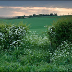 Hampshire Countryside