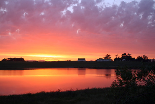 africa sunset lake chicken beauty clouds farm south cape durbanville winelands