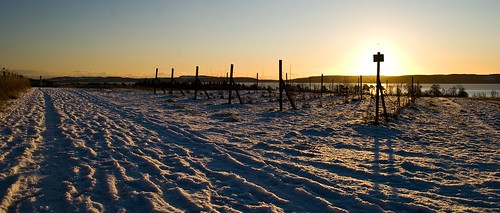 winter snow sunrise river landscape scotland rivertay tay raspberry tayside scri perthandkinross invergowrie rnbtay