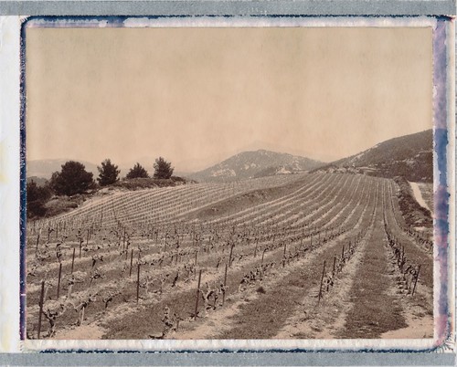 france landscape polaroid vineyard vines wine polaroid600se chocolatefilm
