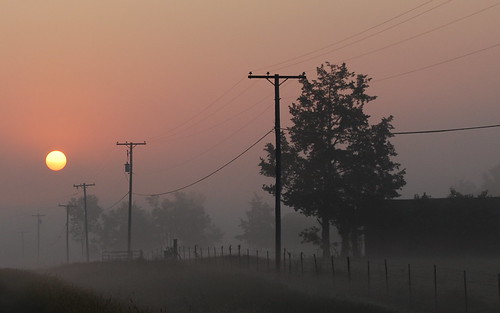 fog rural sunrise landscape