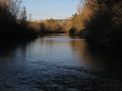Verde River, Arizona