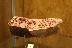 Specimen in the mineral museum at Wolframines